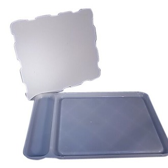 TRAY DISSECTING / GENERAL PURPOSE TECHTRAY