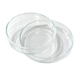 DISH PETRI BOROSILICATE GLASS   75mm d x 15mm h