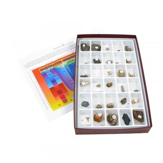 GEOLOGICAL SPECIMENS FOSSIL SET/30