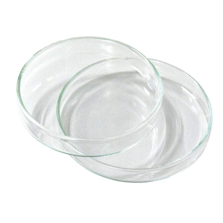 DISH PETRI BOROSILICATE GLASS   60mm d X 15mm d