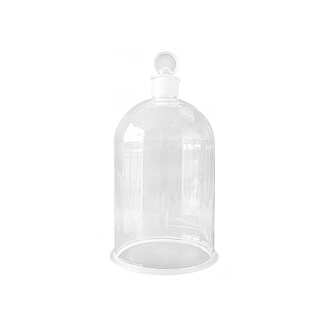 BELL JAR CLEAR W/GLASS STOPPER 250mm h x 150mm