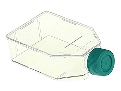 FLASK CELL CULTURE 25cm2/50ml PLUG SEAL CAP