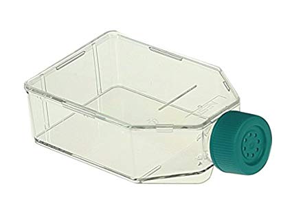 FLASK CELL CULTURE 25cm2/50ml VENT CAP