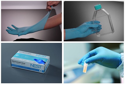 GLOVES EXAM NITRILE POWDER FREE BLUE    SMALL