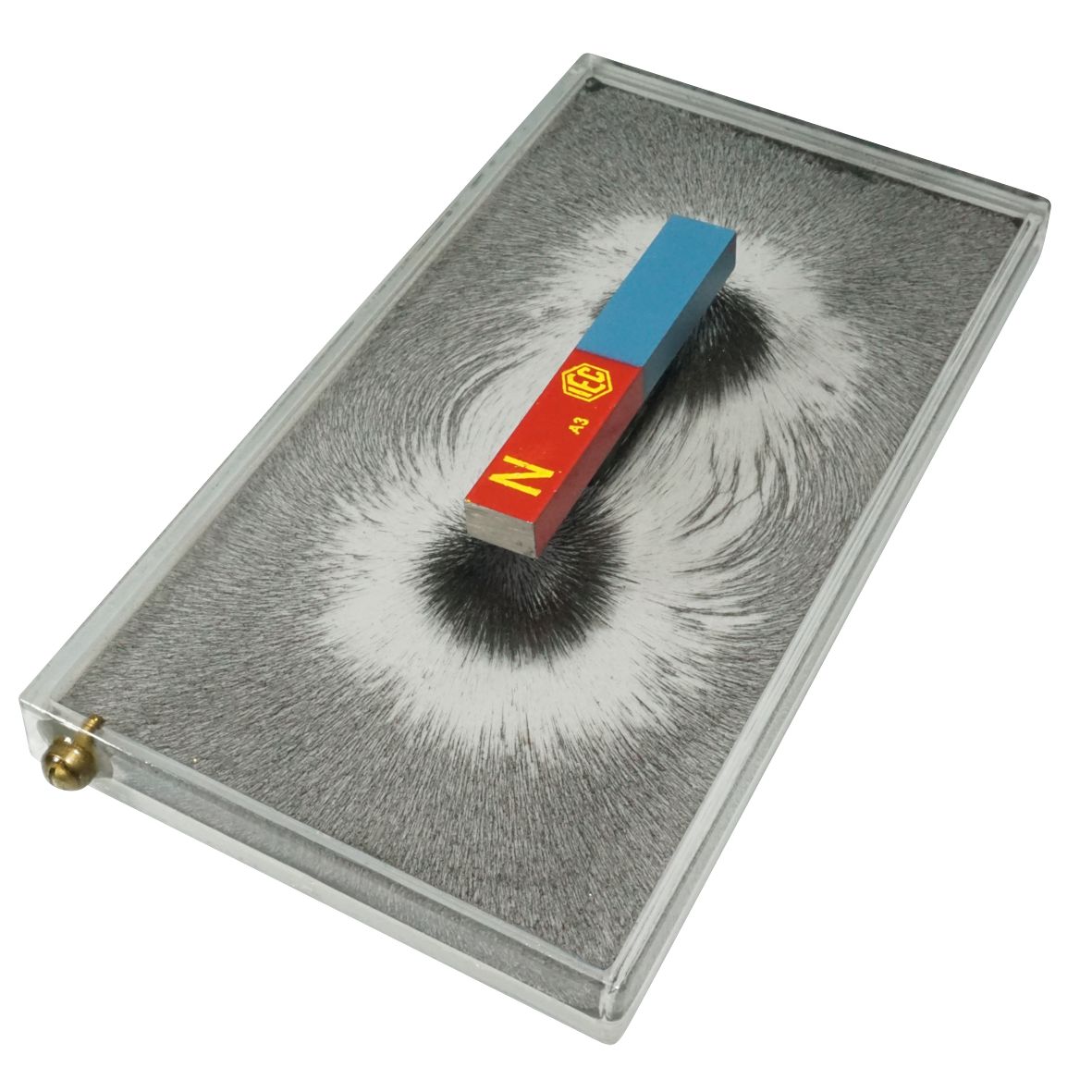 MAGNETIC FIELD DEMO FLAT IRON In GLYCERINE